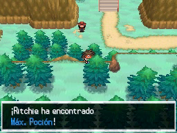 Ruta 23 en Pokémon Negro 2 y Blanco 2 — captura 2 Ruta 23 en Pokémon Negro 2 y Blanco 2 — captura 2