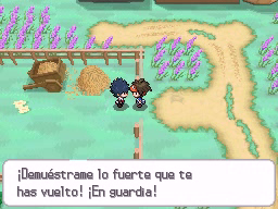 Ruta 20 (1ª visita) en Pokémon Negro 2 y Blanco 2