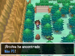Ruta 23 en Pokémon Negro 2 y Blanco 2 — captura 2 Ruta 23 en Pokémon Negro 2 y Blanco 2 — captura 2