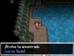 Ruta 3 en Pokémon Negro 2 y Blanco 2 — captura 1 Ruta 3 en Pokémon Negro 2 y Blanco 2 — captura 1