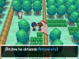 Ruta 20 (1ª visita) en Pokémon Negro 2 y Blanco 2 — captura 1 Ruta 20 (1ª visita) en Pokémon Negro 2 y Blanco 2 — captura 1