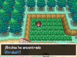 Ruta 3 en Pokémon Negro 2 y Blanco 2 — captura 2 Ruta 3 en Pokémon Negro 2 y Blanco 2 — captura 2