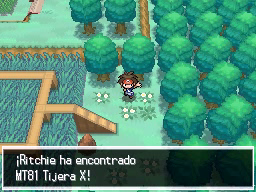 Ruta 7 en Pokémon Negro 2 y Blanco 2 — captura 2