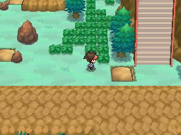 Ruta 23 en Pokémon Negro 2 y Blanco 2 — captura 2 Ruta 23 en Pokémon Negro 2 y Blanco 2 — captura 2
