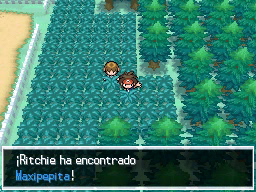 Ruta 3 en Pokémon Negro 2 y Blanco 2 — captura 1 Ruta 3 en Pokémon Negro 2 y Blanco 2 — captura 1