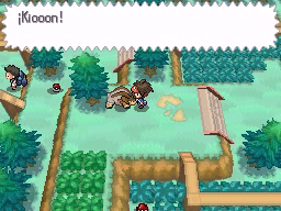Ruta 22 en Pokémon Negro 2 y Blanco 2 — captura 1