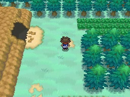 Ruta 3 en Pokémon Negro 2 y Blanco 2 — captura 1 Ruta 3 en Pokémon Negro 2 y Blanco 2 — captura 1