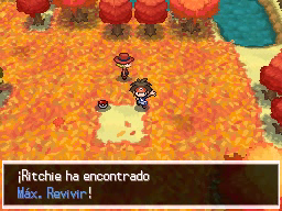 Tras la Liga en Pokémon Negro 2 y Blanco 2 — captura 1 Tras la Liga en Pokémon Negro 2 y Blanco 2 — captura 1