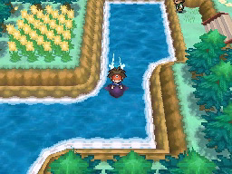 Ruta 1 en Pokémon Negro 2 y Blanco 2 — captura 1