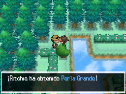 Ciudad Gres en Pokémon Negro 2 y Blanco 2 — captura 2 Ciudad Gres en Pokémon Negro 2 y Blanco 2 — captura 2