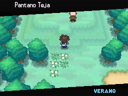 Ruta 8 en Pokémon Negro 2 y Blanco 2 — captura 1 Ruta 8 en Pokémon Negro 2 y Blanco 2 — captura 1