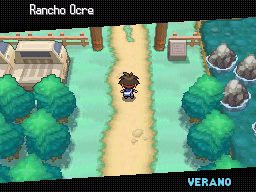 Ruta 20 (1ª visita) en Pokémon Negro 2 y Blanco 2
