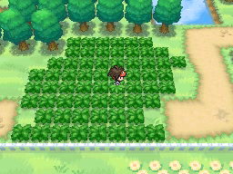 Pueblo Ocre en Pokémon Negro 2 y Blanco 2