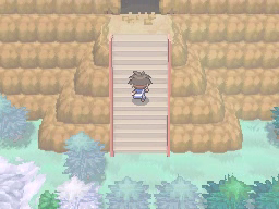 Boquete Gigante (2ª visita) en Pokémon Negro 2 y Blanco 2 — captura 2