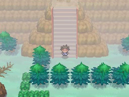 Boquete Gigante (2ª visita) en Pokémon Negro 2 y Blanco 2 — captura 1