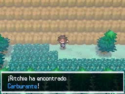 Boquete Gigante (2ª visita) en Pokémon Negro 2 y Blanco 2 — captura 2