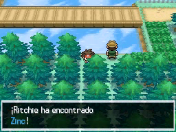 Ruta 3 en Pokémon Negro 2 y Blanco 2 — captura 2 Ruta 3 en Pokémon Negro 2 y Blanco 2 — captura 2