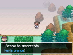Ruta 14 en Pokémon Negro 2 y Blanco 2 — captura 2 Ruta 14 en Pokémon Negro 2 y Blanco 2 — captura 2