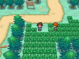 Ruta 2 en Pokémon Negro 2 y Blanco 2 — captura 1 Ruta 2 en Pokémon Negro 2 y Blanco 2 — captura 1