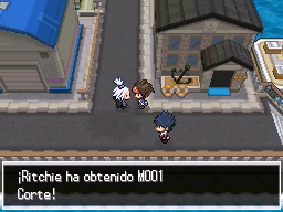 Pokéwood en Pokémon Negro 2 y Blanco 2 — captura 1