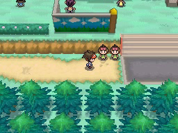 Ruta 3 en Pokémon Negro 2 y Blanco 2 — captura 2 Ruta 3 en Pokémon Negro 2 y Blanco 2 — captura 2