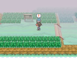 Ruta 14 en Pokémon Negro 2 y Blanco 2 — captura 1 Ruta 14 en Pokémon Negro 2 y Blanco 2 — captura 1