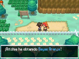 Gimnasio Engobe en Pokémon Negro 2 y Blanco 2