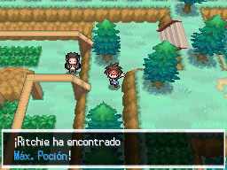 Ruta 22 en Pokémon Negro 2 y Blanco 2 — captura 2