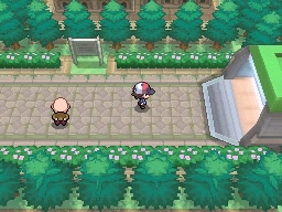 Ruta 11 en Pokémon Negro y Blanco — captura 1 Ruta 11 en Pokémon Negro y Blanco — captura 1