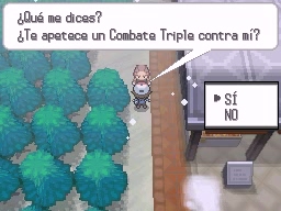 Ciudad Fayenza en Pokémon Negro y Blanco — captura 1 Ciudad Fayenza en Pokémon Negro y Blanco — captura 1