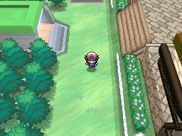 Puente Villa en Pokémon Negro y Blanco — captura 1