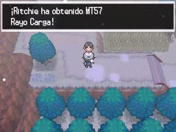 Ruta 7 en Pokémon Negro y Blanco — captura 1