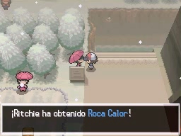 Ruta 8 en Pokémon Negro y Blanco — captura 2