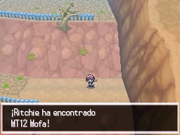 Calle Victoria en Pokémon Negro y Blanco — captura 2 Calle Victoria en Pokémon Negro y Blanco — captura 2