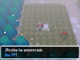 Ruta 7 en Pokémon Negro y Blanco — captura 1