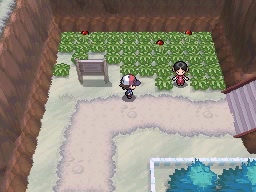 Ruta 10 en Pokémon Negro y Blanco — captura 2