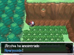 Ruta 11 en Pokémon Negro y Blanco — captura 1 Ruta 11 en Pokémon Negro y Blanco — captura 1