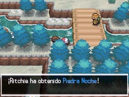 Ruta 10 en Pokémon Negro y Blanco — captura 2