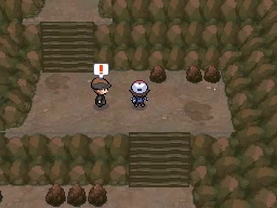 Calle Victoria en Pokémon Negro y Blanco — captura 2 Calle Victoria en Pokémon Negro y Blanco — captura 2