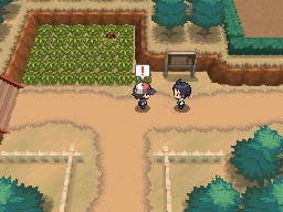 Ruta 3 en Pokémon Negro y Blanco — captura 1 Ruta 3 en Pokémon Negro y Blanco — captura 1