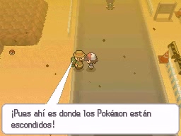 Ruta 4 en Pokémon Negro y Blanco — captura 1