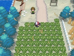 Ruta 1 en Pokémon Negro y Blanco — captura 1 Ruta 1 en Pokémon Negro y Blanco — captura 1