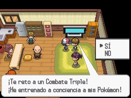 Bosque Blanco, Ciudad Negra en Pokémon Negro y Blanco — captura 2
