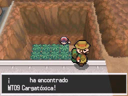 Ruta 15 en Pokémon Negro y Blanco — captura 1 Ruta 15 en Pokémon Negro y Blanco — captura 1