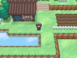 Ruta 14 en Pokémon Negro y Blanco — captura 2