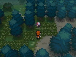 Bosque Azulejo en Pokémon Negro y Blanco — captura 1