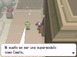 Ruta 8 en Pokémon Negro y Blanco — captura 1