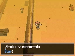 Ruta 4 en Pokémon Negro y Blanco — captura 1