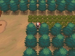 Ruta 3 en Pokémon Negro y Blanco — captura 2 Ruta 3 en Pokémon Negro y Blanco — captura 2