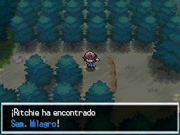 Bosque Azulejo en Pokémon Negro y Blanco — captura 2